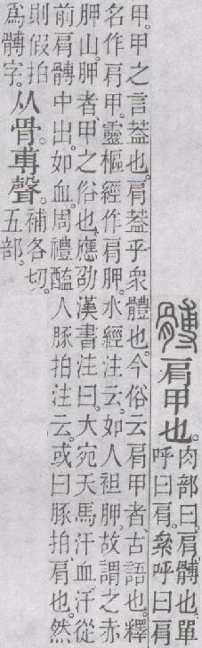 点击返回